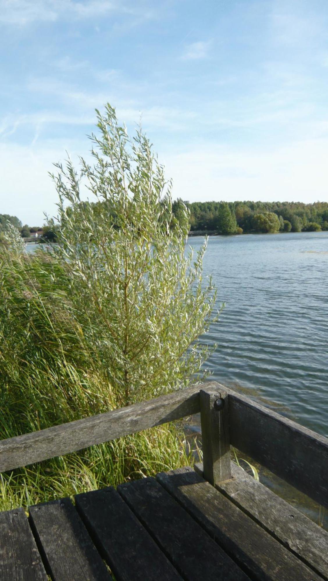Beau Rivage Hotell Nogent-sur-Seine Eksteriør bilde